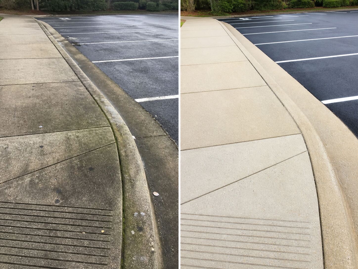 Curb & Walkway Refresh